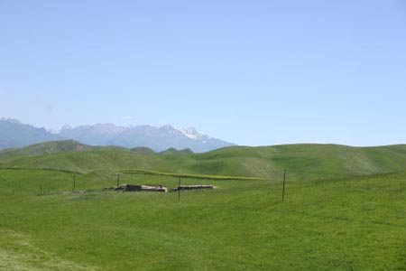 IMG_8209