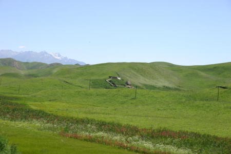 IMG_8211