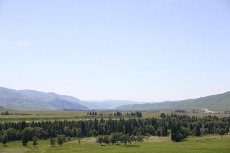 IMG_8259
