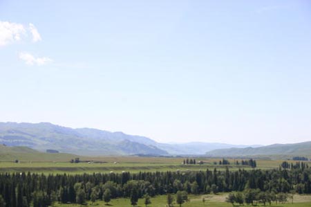 IMG_8260
