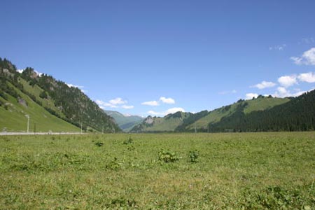 IMG_8293