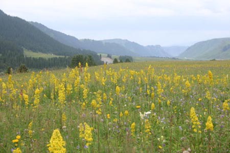 IMG_8462