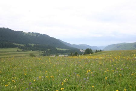 IMG_8466
