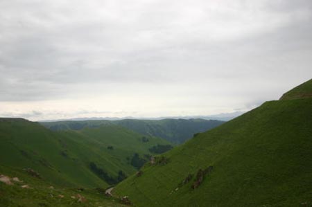 IMG_8502