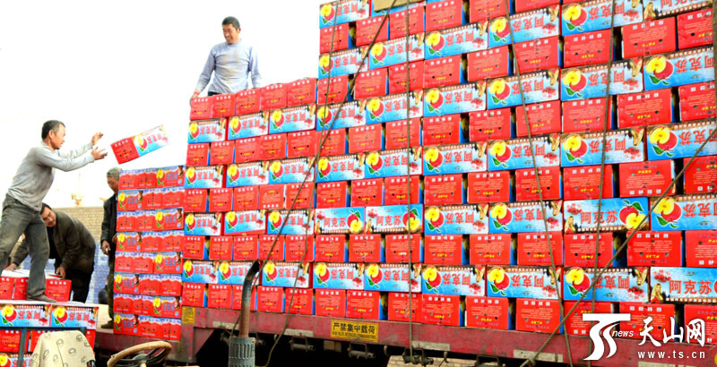 阿拉尔垦区9万亩绿色红富士苹果俏销