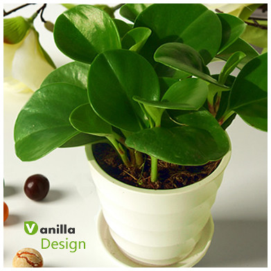 6招防辐射护美肌