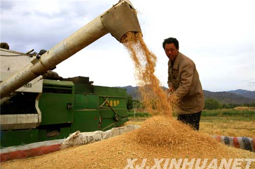 绝对值教案_农民纯收入绝对值
