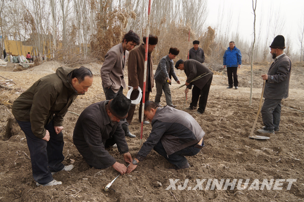 自治区农科院住疏勒县库木西力克乡工作组力促春耕生产