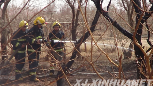 新疆吐鲁番树林着火危及大型物流公司 消防部