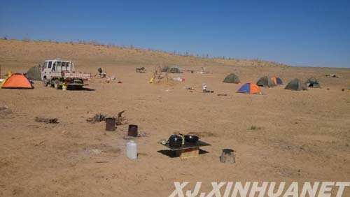 福海县森林警察大队开展 打击乱采滥挖专项治