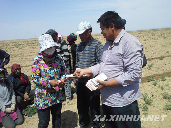 昌吉州宣传部工作组助力土地流转定居牧民收租