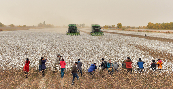 兵团二师三十三团举办首届胡杨文化摄影节