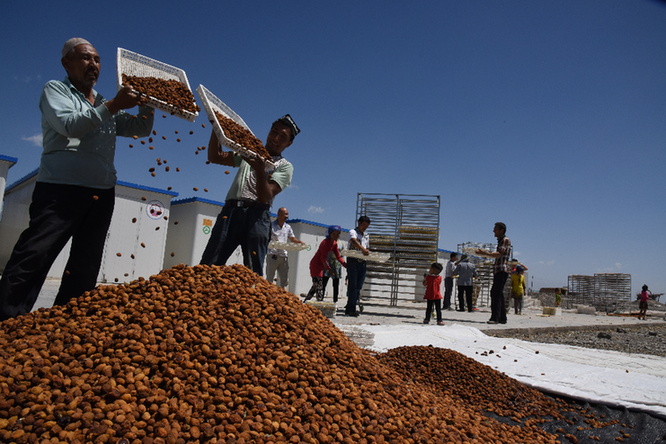 农民的钱袋子鼓起来