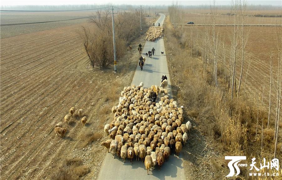 点击图片进入下一页