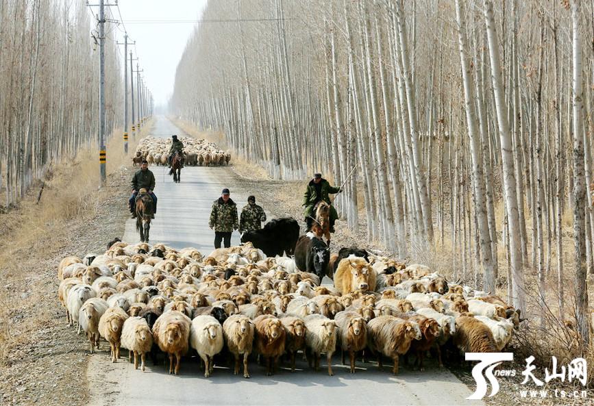 点击图片进入下一页