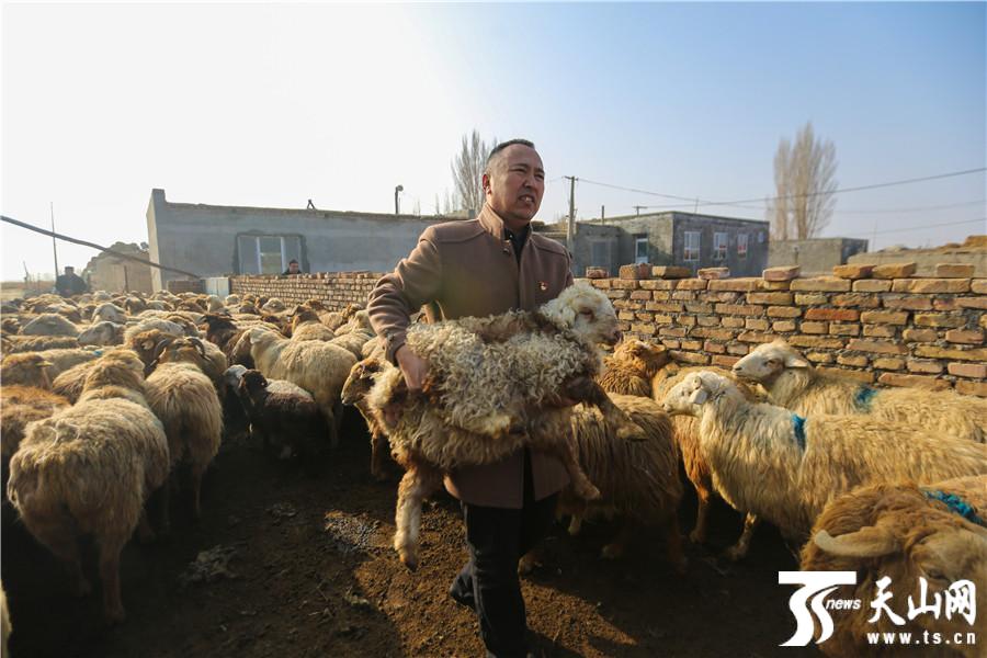 点击图片进入下一页