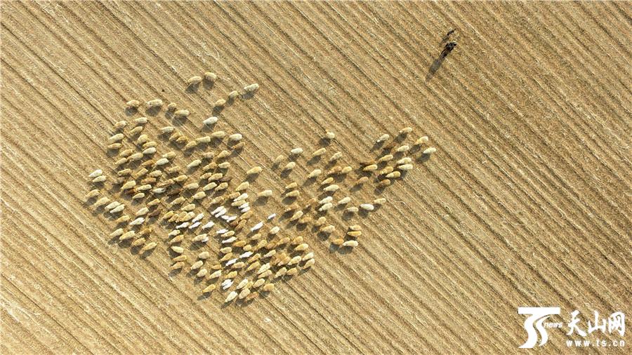 点击图片进入下一页