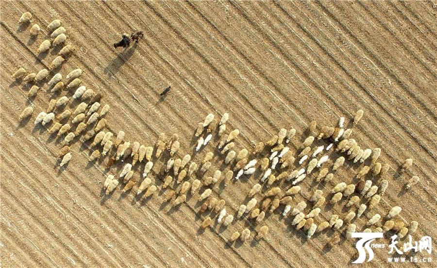 点击图片进入下一页