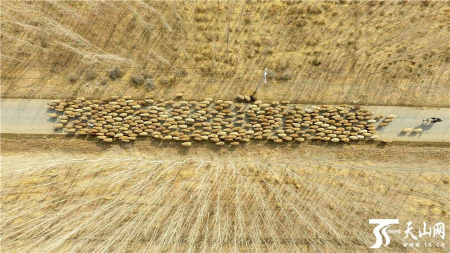 点击图片进入下一页