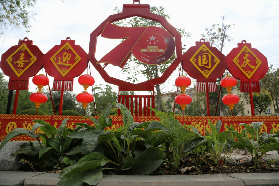 伊宁市:国庆将至 鲜花国旗相映红