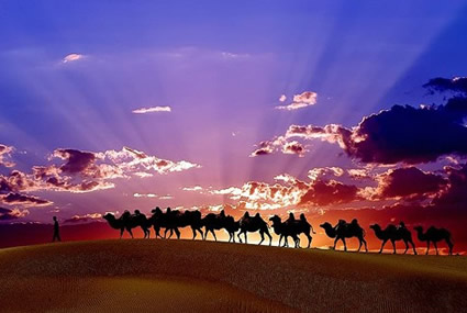 霍尔果斯开发区举办新丝绸之路商品展销会