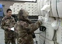 新疆棉花入库公检 核准补贴