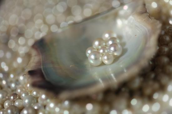 延续大自然的馈赠 MIKIMOTO改写珍珠历史的奇迹