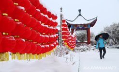 巴里坤县飘雪景致美