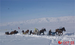 马拉雪橇 新疆布尔津冬季旅游的名片