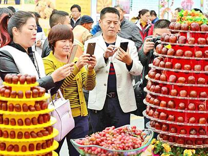 阿拉尔市举办第七届红枣文化节