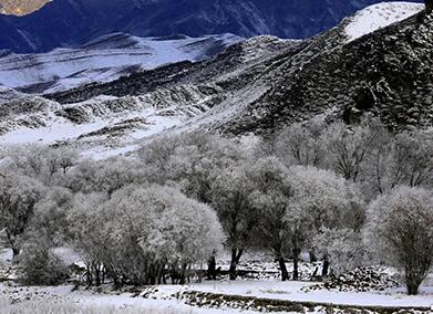 新疆温泉县鄂托克赛尔河谷雾凇美轮美奂