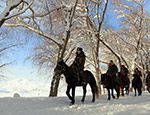 新疆阿勒泰：风雪巡边路
