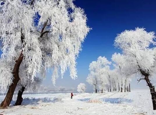 诗情画意|乌苏冬季景色美