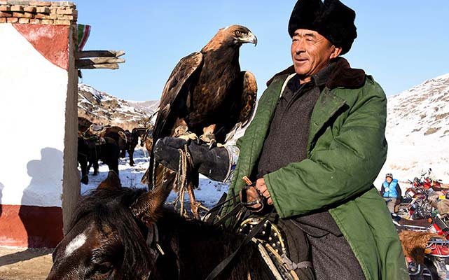 探访新疆北部牧区：冬窝子里冷冬不“冷”