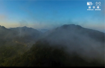 【“飛閱”中國】航拍神農頂 雲霧飄逸現佛光