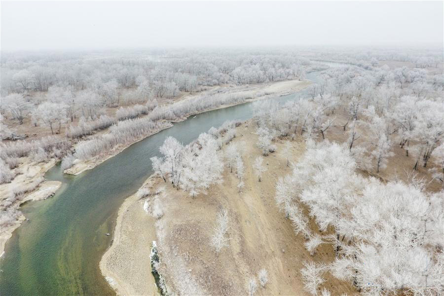 新疆額爾齊斯河流域現霧凇景觀