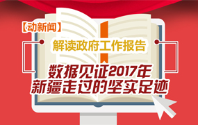 【动新闻】解读政府工作报告&mdash;&mdash;数据见证2017年新疆走过的坚实足迹