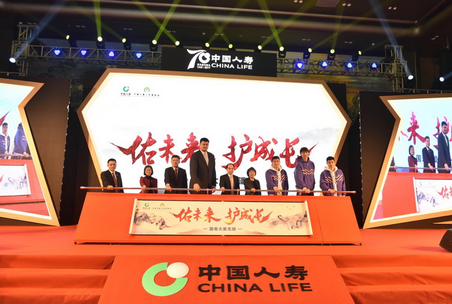 中国人寿创新启动公益项目 助阵CBA联赛全明星周末