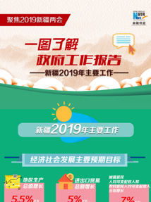 一图了解新疆2019年主要工作