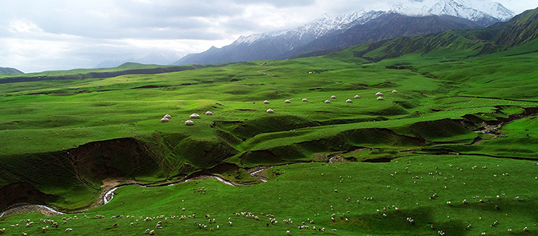 【新疆是个好地方】在和田鸟瞰夏日亚门草场 雪白羊群撒满绿色海洋宛如颗颗珍珠