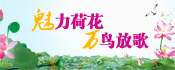 直播:五家渠第八届荷花节开幕式