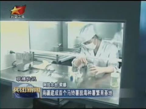 南疆建成首个马铃薯脱毒种薯繁育基地