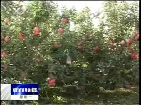新疆将在林果主产区开展生态健康果园试点