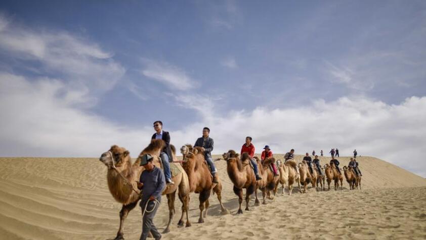 新疆尉犁：金秋美景醉游人