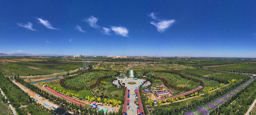 亚心花海主题乐园全景