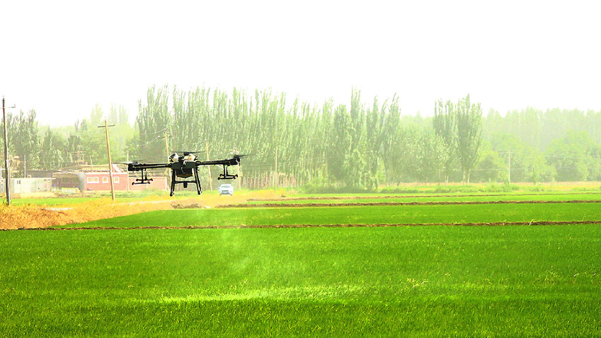 和田县：无人机植保助推水稻生产提质增效