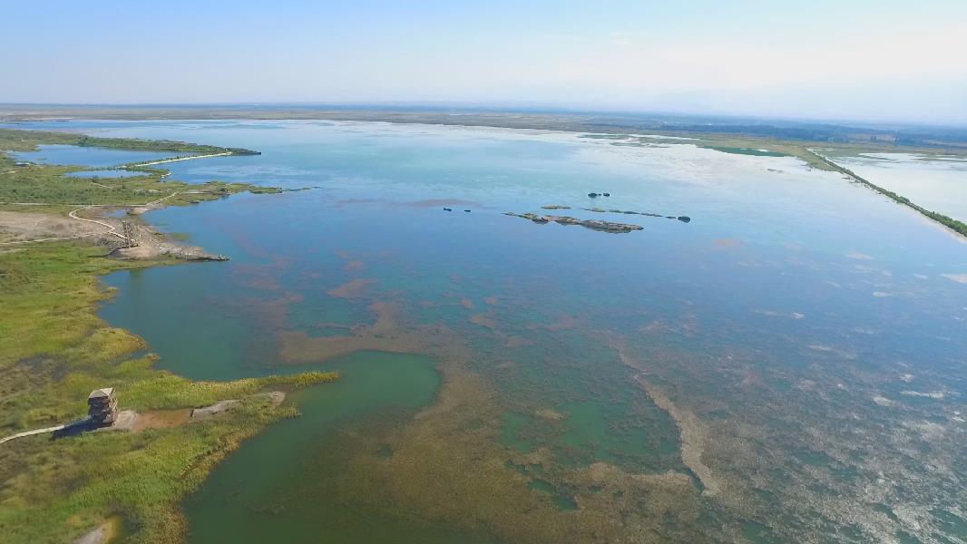 英吉沙南湖国家湿地公园