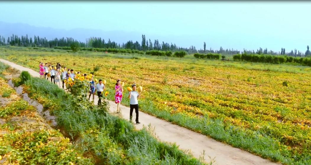 甜蜜之约&middot;七彩伽师