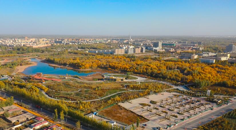 伽师县城中胡杨生态园