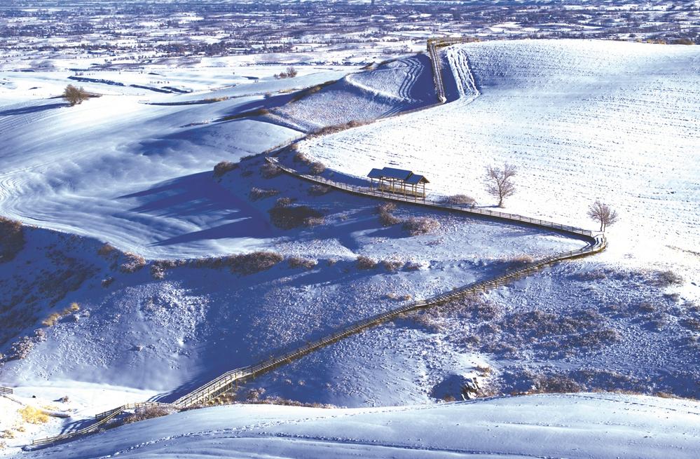 江布拉克：松林傲雪远山晴